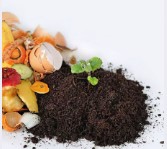 Ի՞նչ է ստանում  Zero Waste Energy Development Company-ին սննդի թափոններից